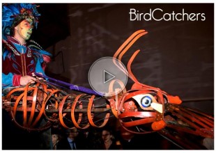 birdcatchers