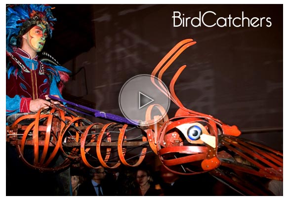 birdcatchers