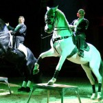 Entertainment Agency Italy, Hire entertainment Italy, Book entertainment Italy, Corporate Entertainment Italy, Wedding Entertainment Italy, entertainment agency in Italy