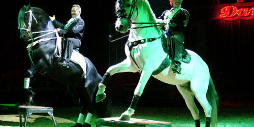 china-entertainmentagency Entertainment Agency China, Hire entertainment China, Book entertainment China, Corporate Entertainment China, Wedding Entertainment China, entertainment agency in China