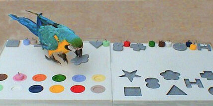 Entertainment Agency Turkey, Hire entertainment Turkey, Book entertainment Turkey, Corporate Entertainment Turkey, Wedding Entertainment Turkey, entertainment agency in Turkey